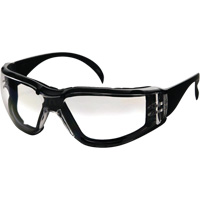 CeeTec DX Safety Glasses, Clear Lens, Anti-Fog/Anti-Scratch, Meets/Exceeds CSA Z94.3 Moffatt Supply & Specialties