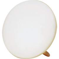 Jumbo Therapy Light for Seasonal Affective Disorder Moffatt Supply & Specialties