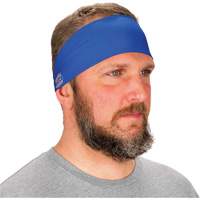 Chill-Its 6634 Cooling Headband, Blue Moffatt Supply & Specialties