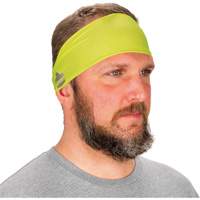 Chill-Its 6634 Cooling Headband, High Visibility Lime-Yellow Moffatt Supply & Specialties