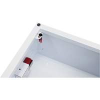 Standard Large AED Cabinet with Alarm, Zoll AED Plus&reg;/Zoll AED 3/Cardio-Science/Physio-Control For, Non-Medical Moffatt Supply & Specialties