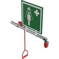 Drench Shower, Water Ring Main Mount Moffatt Supply & Specialties