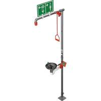 Combination Shower with Open Stainless Steel Bowl & Top Inlet, Pedestal Moffatt Supply & Specialties