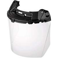 BOLT Task Full Face Shield, Polycarbonate, Pinlock Suspension Moffatt Supply & Specialties