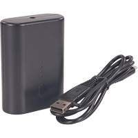N-Ferno&reg; Portable Battery Power Bank with USB-C Cord Moffatt Supply & Specialties