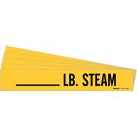 "LB. Steam" Pipe Markers, Self-Adhesive, 2-1/4" H x 2-3/4" W, Black on Yellow Moffatt Supply & Specialties
