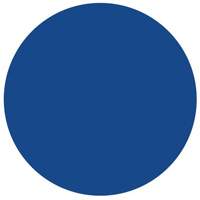 Round Write-On Labels, Circle, 1.5" L x 1.5" W, Blue Moffatt Supply & Specialties