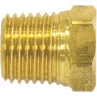 Pipe Plug (Hex Head), 1/2" Dia., Brass Moffatt Supply & Specialties