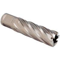 Couteau annulaire SST, Diam&egrave;tre de 13/16", Bronze, Profondeur de la coupe de 3", Tige 3/4" Moffatt Supply & Specialties