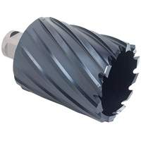 Fraise annulaire ICECUT, Diam&egrave;tre de 1/2", Chrome-aluminium, Profondeur de la coupe de 2", Tige 3/4" Moffatt Supply & Specialties