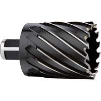 Couteau annulaire, Diam&egrave;tre de 2", Acier rapide, Profondeur de la coupe de 2", Tige 3/4" Moffatt Supply & Specialties