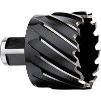 Couteau annulaire, Diam&egrave;tre de 2", Acier rapide, Profondeur de la coupe de 1", Tige 3/4" Moffatt Supply & Specialties
