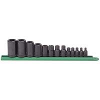 External Torx&reg; Socket Set, 1/2"/1/4"/3/8" Drive Moffatt Supply & Specialties