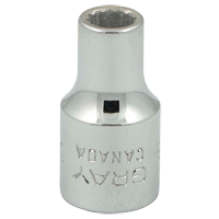Socket, 3/16", 1/4" Drive, 12 Points Moffatt Supply & Specialties