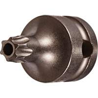 Socket Bit, Torx&reg; Tamper, 25 x 1" L, 3/8" Drive Moffatt Supply & Specialties