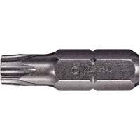 Tamper Insert Bit Moffatt Supply & Specialties