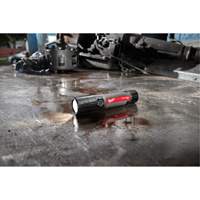 USB Compatible Compact Flashlight, LED, 800 Lumens, Rechargeable Batteries Moffatt Supply & Specialties