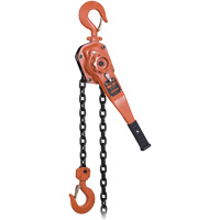 KLP-300L-5 KLP Series Heavy-Duty Lever Chain Hoist with Overload Protection, 5' Lift, 6000 lbs. (3 tons) Capacity Moffatt Supply & Specialties