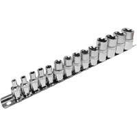 SS314TS  Standard External Socket Sets, Torx&reg;, 1/2"/1/4"/3/8" Drive, 14 Pcs Moffatt Supply & Specialties