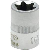 Douille externe Torx E-4 Moffatt Supply & Specialties