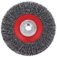 5C14T High Performance Crimped Wire Brush, 5" Dia., 0.014" Fill, 5/8"-11NC Arbor Moffatt Supply & Specialties