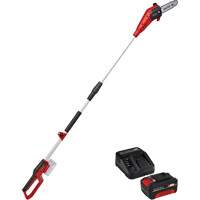 Cordless Pole Chain Saw with 4Ah Battery & Charger Starter Kit Moffatt Supply & Specialties