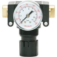 MODULAIR 200 Acetal Piston Regulator, 1/4" NPT, 150 PSI Max. PSI, In Line/Modular Moffatt Supply & Specialties
