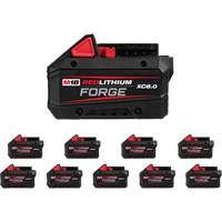 Bloc-pile REDLITHIUM FORGE XC8.0, Lithium-ion, 18 V, 8 Ah Moffatt Supply & Specialties
