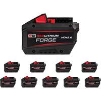 Bloc-pile REDLITHIUM FORGE HD12.0, Lithium-ion, 18 V, 12 Ah Moffatt Supply & Specialties