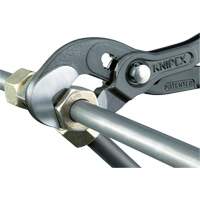 Pince Raptor, 10" Moffatt Supply & Specialties