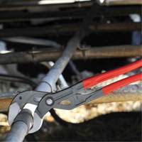 Pince multiprise Cobra&reg; XXL, 22" Moffatt Supply & Specialties