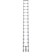 Telescopic Ladder, 3' - 15.5', Aluminum, 250 lbs. Capacity, Type 1 Moffatt Supply & Specialties