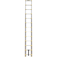 Telescopic Ladder, 3' - 12', Aluminum, 250 lbs. Capacity, Type 1 Moffatt Supply & Specialties