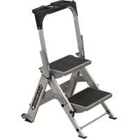 Tilt & Roll Step Stool Ladder, 2 Steps, 23" x 21" x 34.50" High Moffatt Supply & Specialties