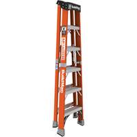 Step Ladder, 6', Fibreglass, 375 lbs. Capacity, Type 1AA Moffatt Supply & Specialties
