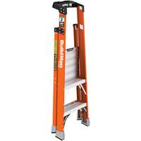 Safespace Platform Step Ladder, 2', 300 lbs. Cap. Moffatt Supply & Specialties