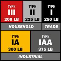 Step Ladder with Paint Tray, 10', Aluminum, 225 lbs. Capacity, Type 2 Moffatt Supply & Specialties