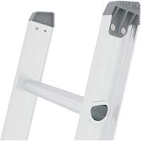 Jobsite Series Extension Ladder, 225 lbs. Cap., 32' H, Grade 2 Moffatt Supply & Specialties
