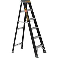 Step Ladder, 6', Fibreglass, 250 lbs. Capacity, Type 1 Moffatt Supply & Specialties