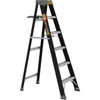 Step Ladder with Paint Tray, 6', Fibreglass, 250 lbs. Capacity, Type 1 Moffatt Supply & Specialties