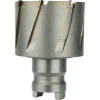 Annular Cutters