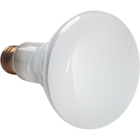Economy Line Incandescent Lamps Moffatt Supply & Specialties