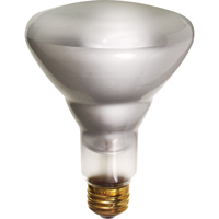 Economy Line Incandescent Lamps Moffatt Supply & Specialties