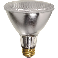 Economy Line Lamps Moffatt Supply & Specialties