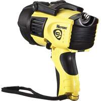 Projecteurs style pistolet Waypoint, DEL, 550 Lumens, Piles C Moffatt Supply & Specialties