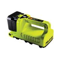 Lanterne, DEL,  Lumens, Piles C Moffatt Supply & Specialties