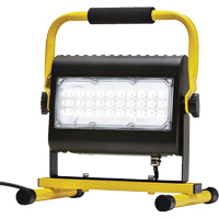 Projecteur d'illumination, DEL, 50 W, 4800 lumens, Boîtier en Aluminium Moffatt Supply & Specialties