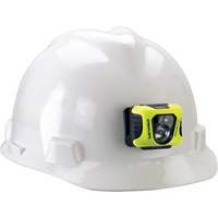 Lampe de poche multifonction Enduro, DEL, 200 lumens, 6 hres de fonctionnement, piles AAA Moffatt Supply & Specialties