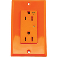 Prise isol&eacute;e avec protection contre les surcharges Decora Moffatt Supply & Specialties