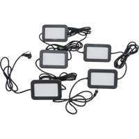 LED String Work Lights, 5 Lights, 50' L, Plastic Housing Moffatt Supply & Specialties